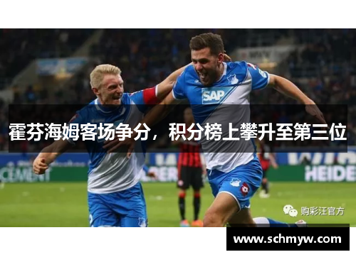 霍芬海姆客场争分，积分榜上攀升至第三位